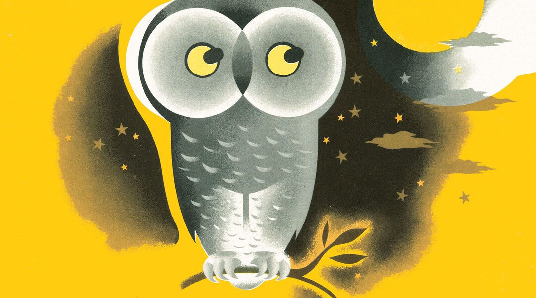 illustrated night owl sitting on tree branch
