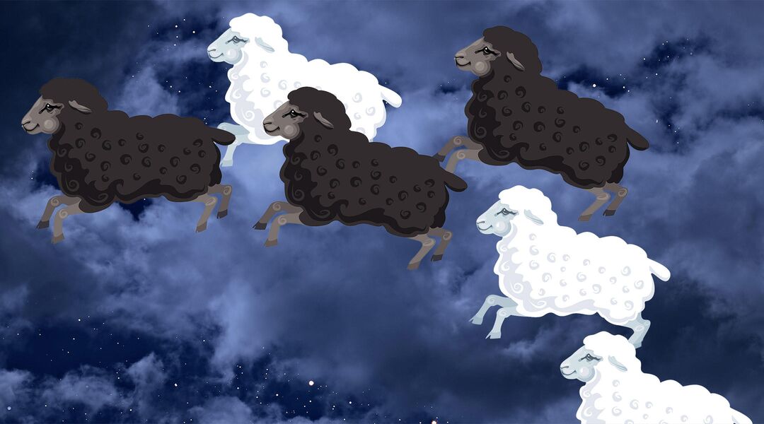 counting sheep at night because hard time sleeping