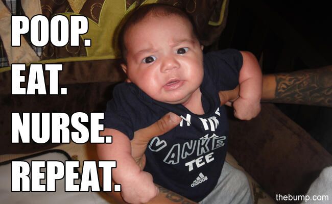 funny looking baby memes