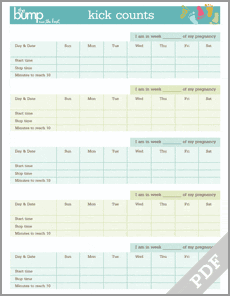 Tool Kick Count Log