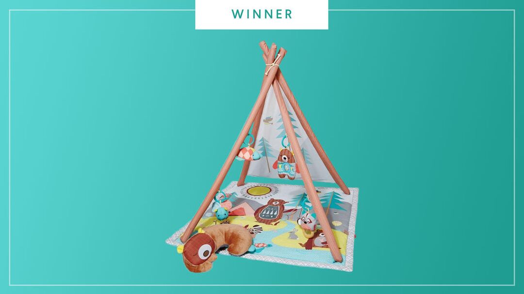 skip hop camping cubs activity mat