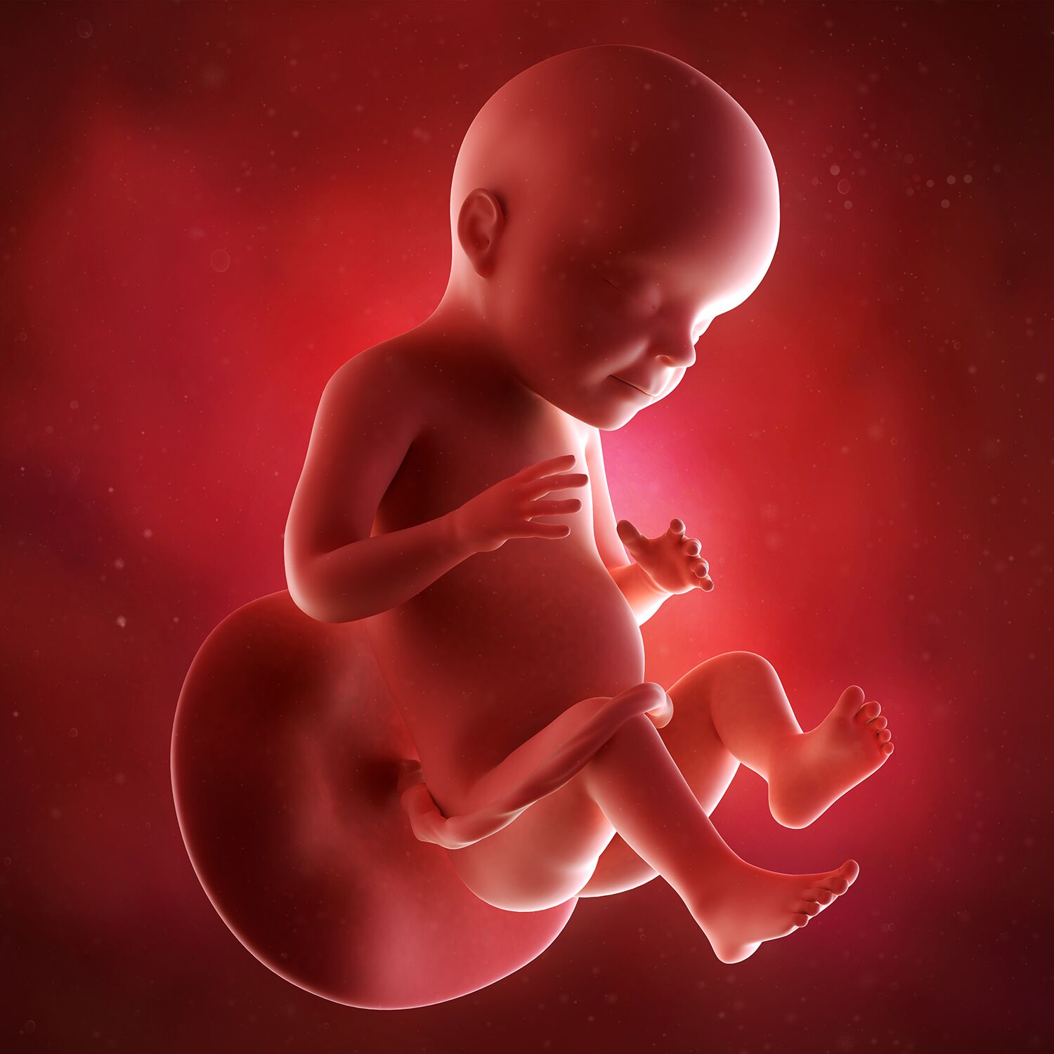 8 й недели неделе. Малыш на 28 неделе беременности в утробе. Плод ребенка в 28 недель беременности.