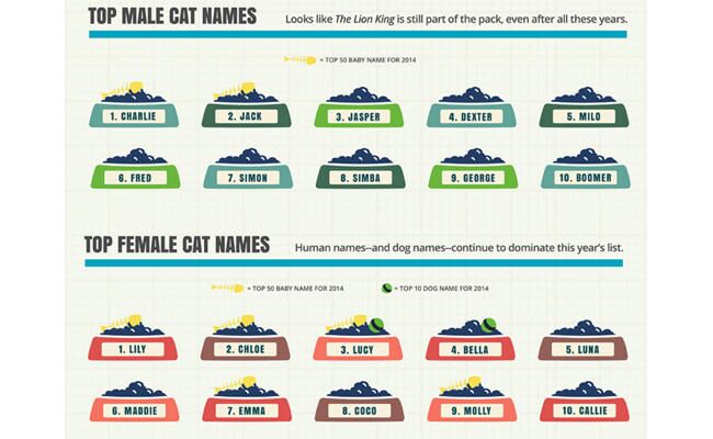 These Popular Baby Names Overlap With Top Pet Names