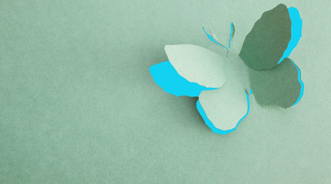 paper butterfly taking flight
