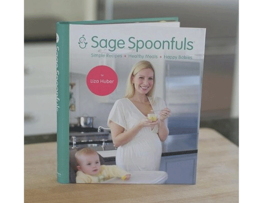 best baby food book 2019