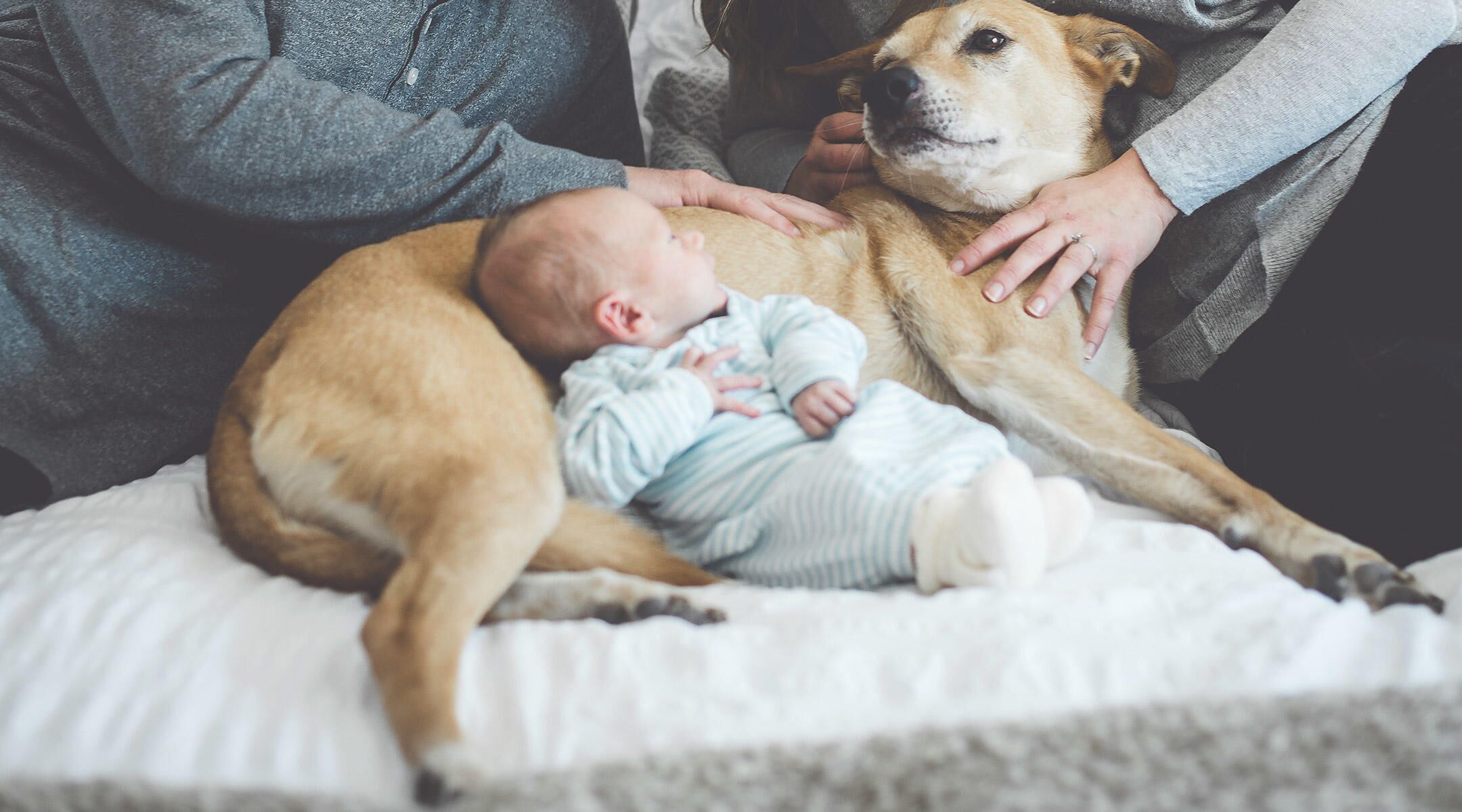 These Popular Baby Names Overlap With Top Pet Names