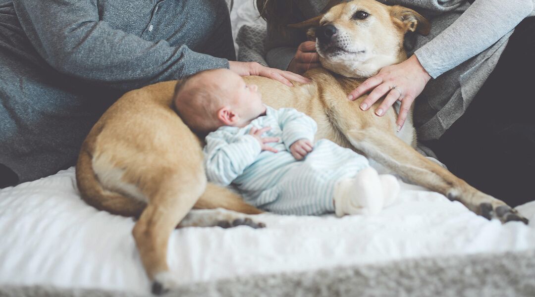 newborn baby nestled with pet dog
