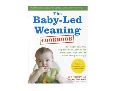 best baby food book 2019