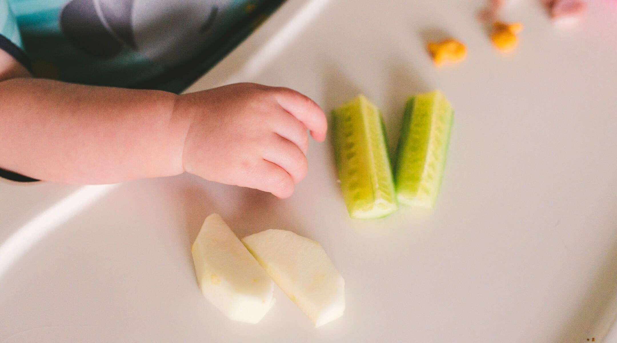 making your own baby food