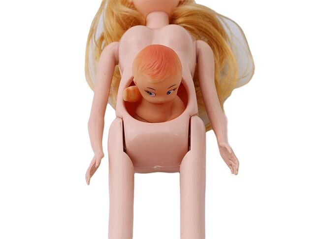a pregnant barbie