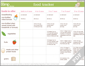 baby solid food tracker