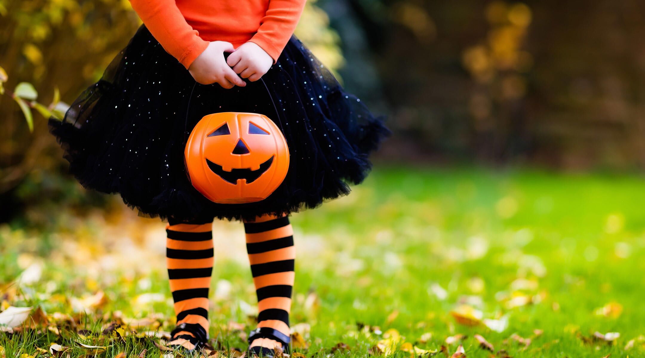 Little Girl dressed for Halloween