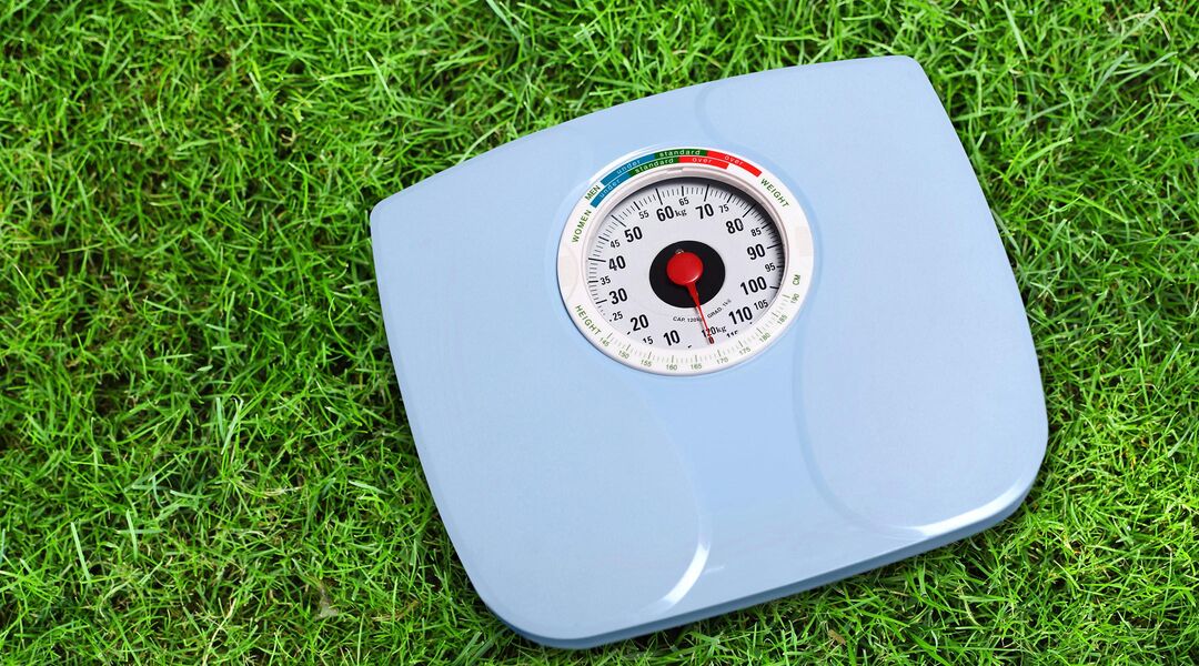 analog weight scale laying in grass