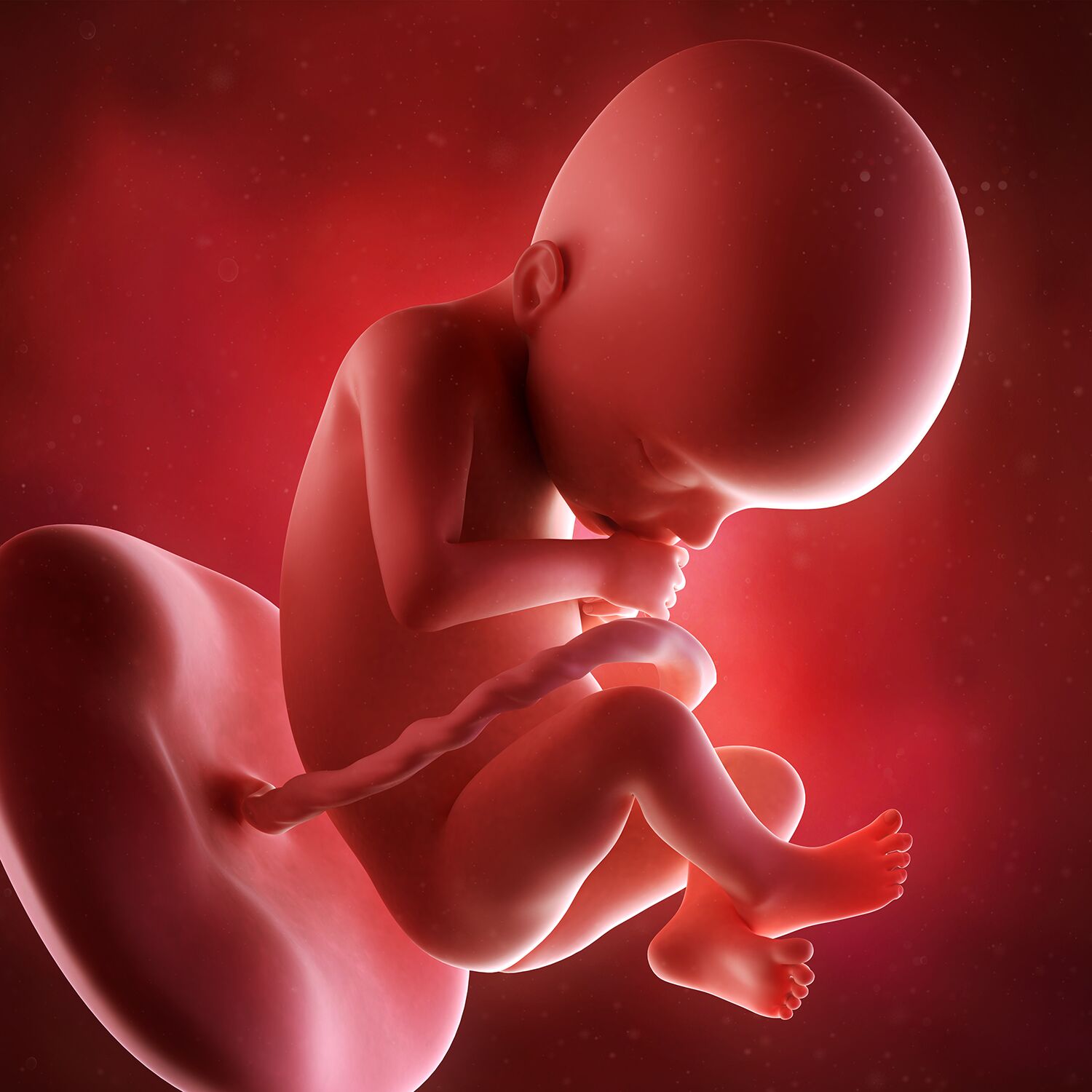 Внутриутробная жизнь ребенка. Плод на 22 неделе беременности. Зародыш на 22 недели беременности. Ребёнок в 22 недели беременности. Младенец 22 недели беременности.