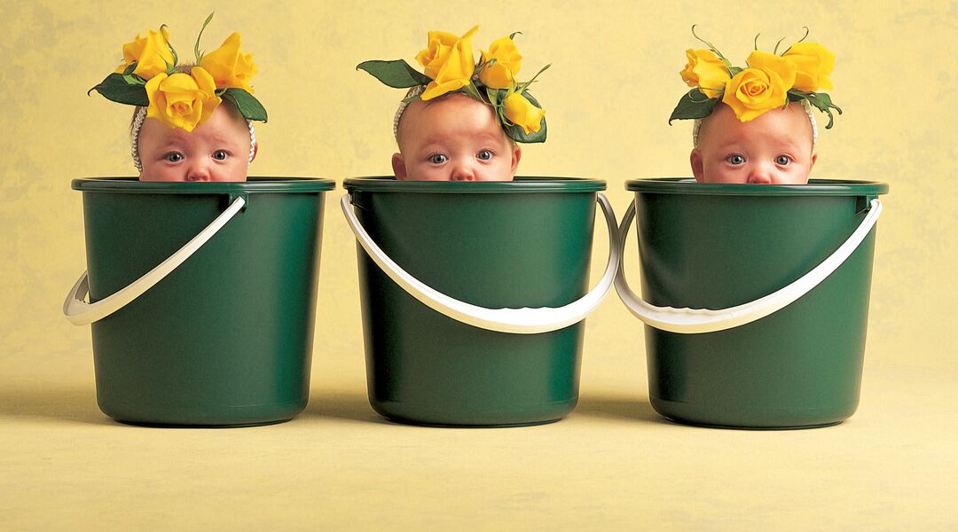 Photographer Anne Geddes captures infants in plant costumes, and contrasts them with their grown-up selves.