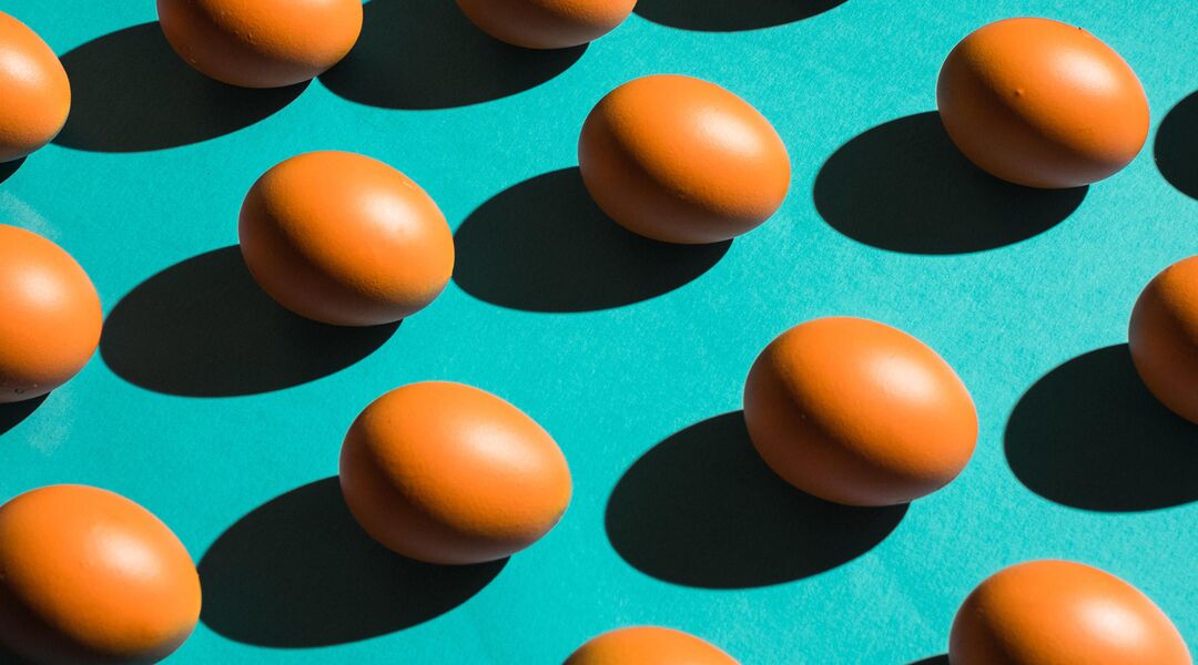 Still life with eggs placed in repeating pattern on teal background. 
