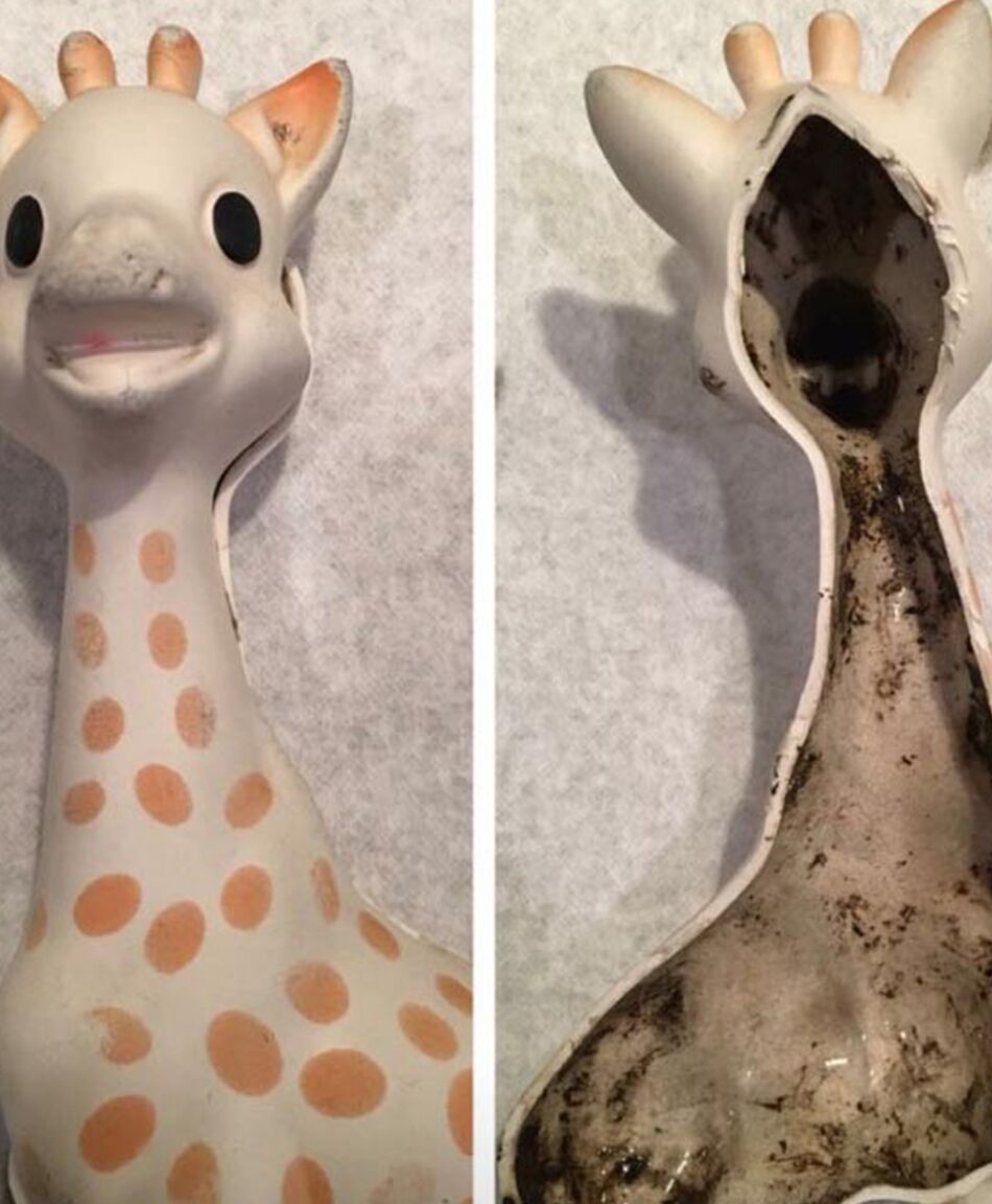 Parents Discover Black Mold in Sophie the Giraffe Toy