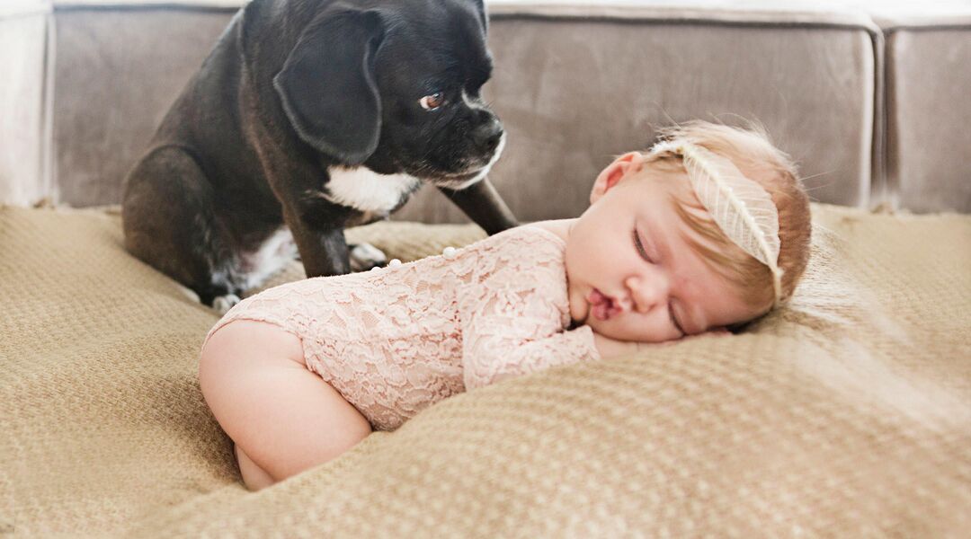 Sleeping girl with cute puppy