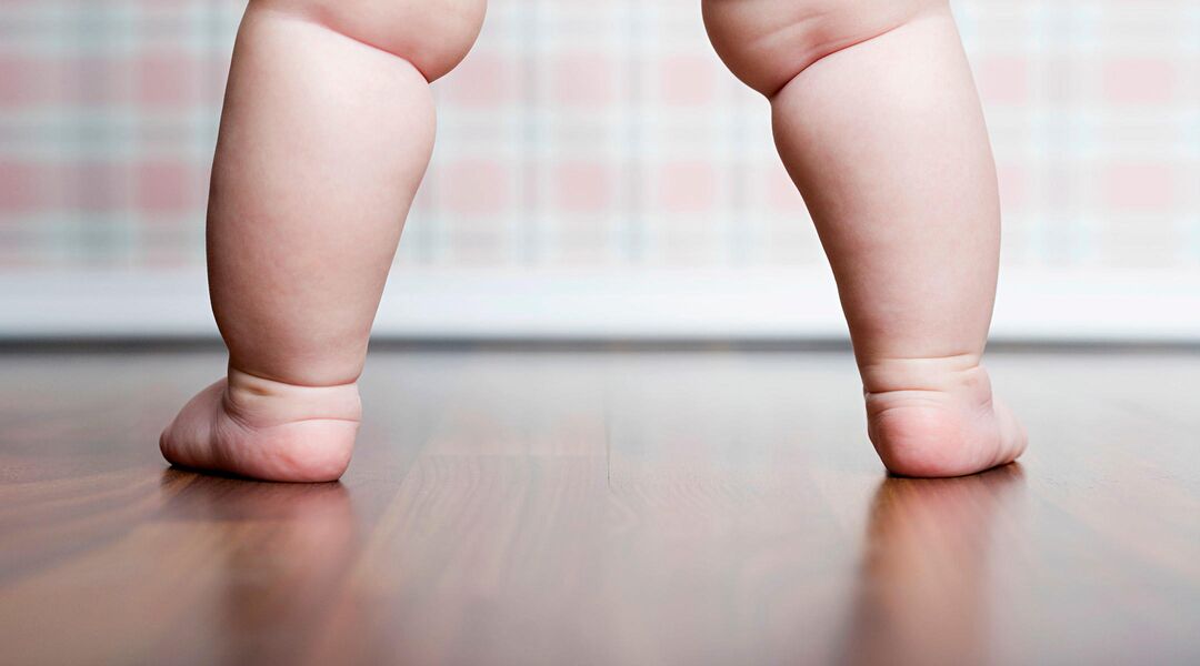 fat baby standing, view of legs. 