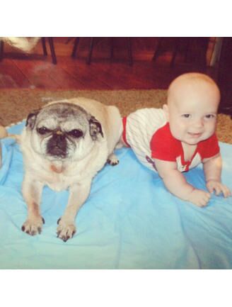 30 Adorable Pictures of Babies and Pets